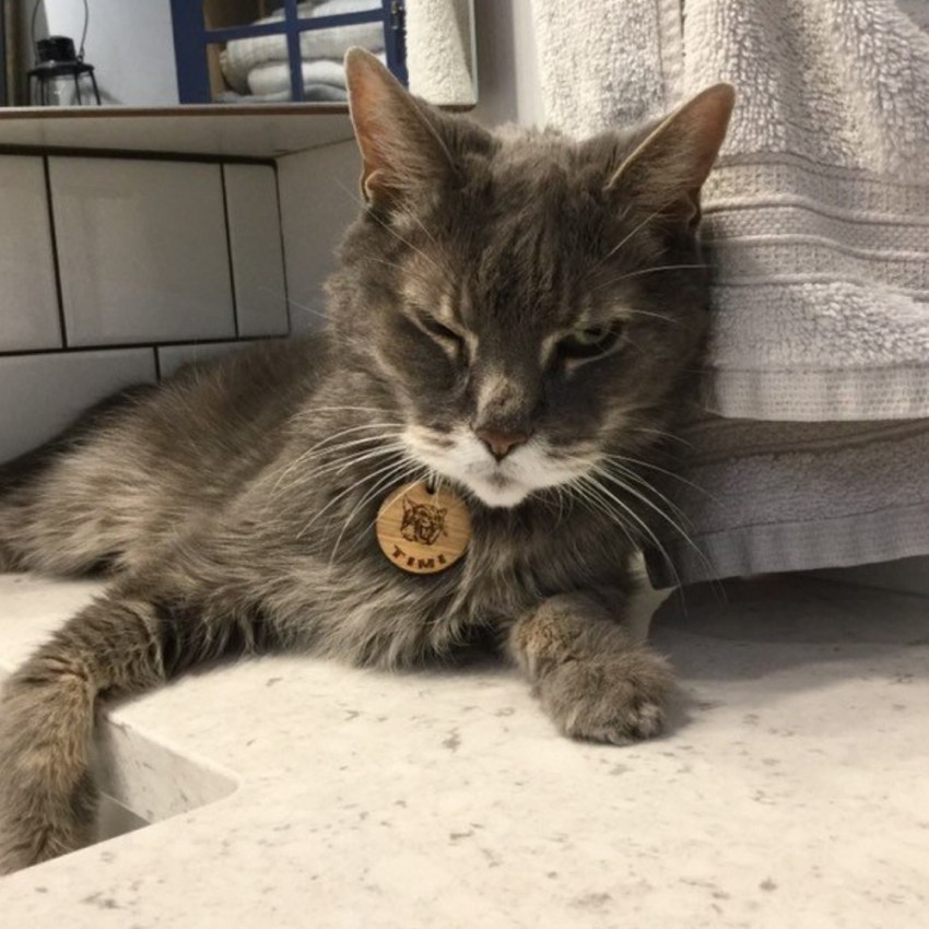 Kişiye Özel - Ahşap Ağaç Dalı Kedi Kimlik Madalyonu