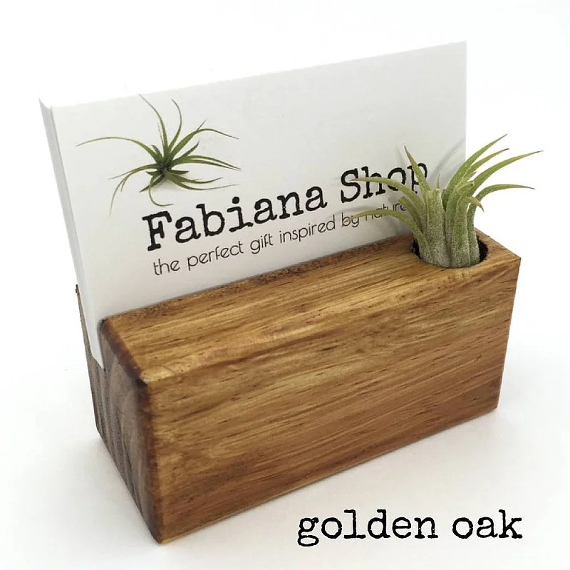 Kişiye Özel - Ahşap Saksılı Masaüstü Kartvitiklik Flowerpot Tasarım