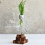 Kişiye Özel - Ahşap Square Tasarım Bulb Lamba Saksısı Kişiye Özel - Ahşap Square Tasarım Bulb Lamba Saksısı