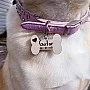 Kişiye Özel - Ahşap Kemik Modelli Köpek Tasma Kimlik Madolyonu