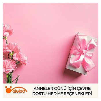 Anneler Günü İçin Çevre Dostu Hediye Seçenekleri