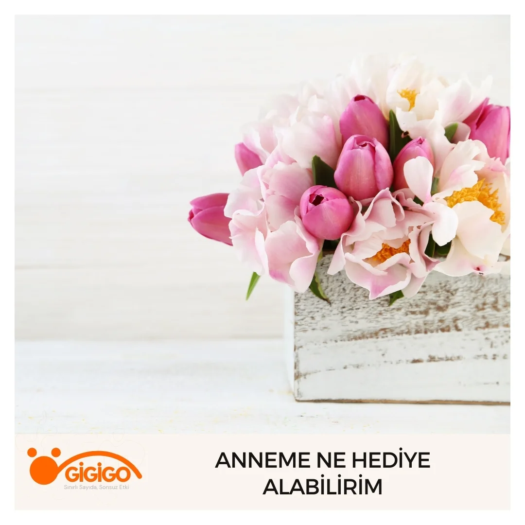 Anneme Ne Hediye Alabilirim