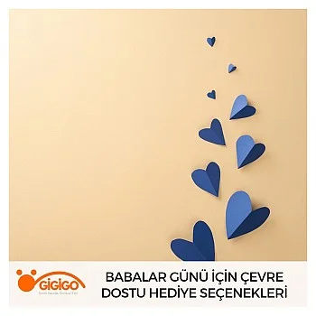 Babalar Günü İçin Çevre Dostu Hediye Seçenekleri