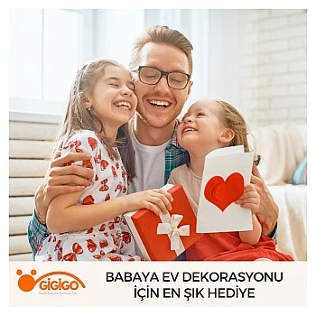 Babaya Ev Dekorasyonu İçin En Şık Hediye