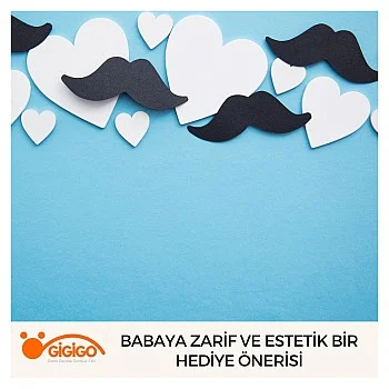 Babaya Zarif Ve Estetik Bir Hediye Önerisi