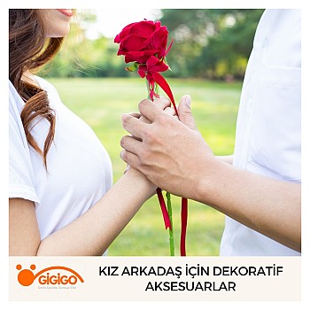 Kız Arkadaş İçin Dekoratif Aksesuarlar