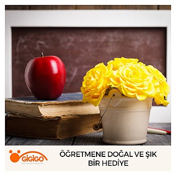 Öğretmene Doğal Ve Şık Bir Hediye