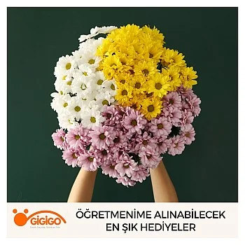 Öğretmenime Alınabilecek En Şık Hediyeler
