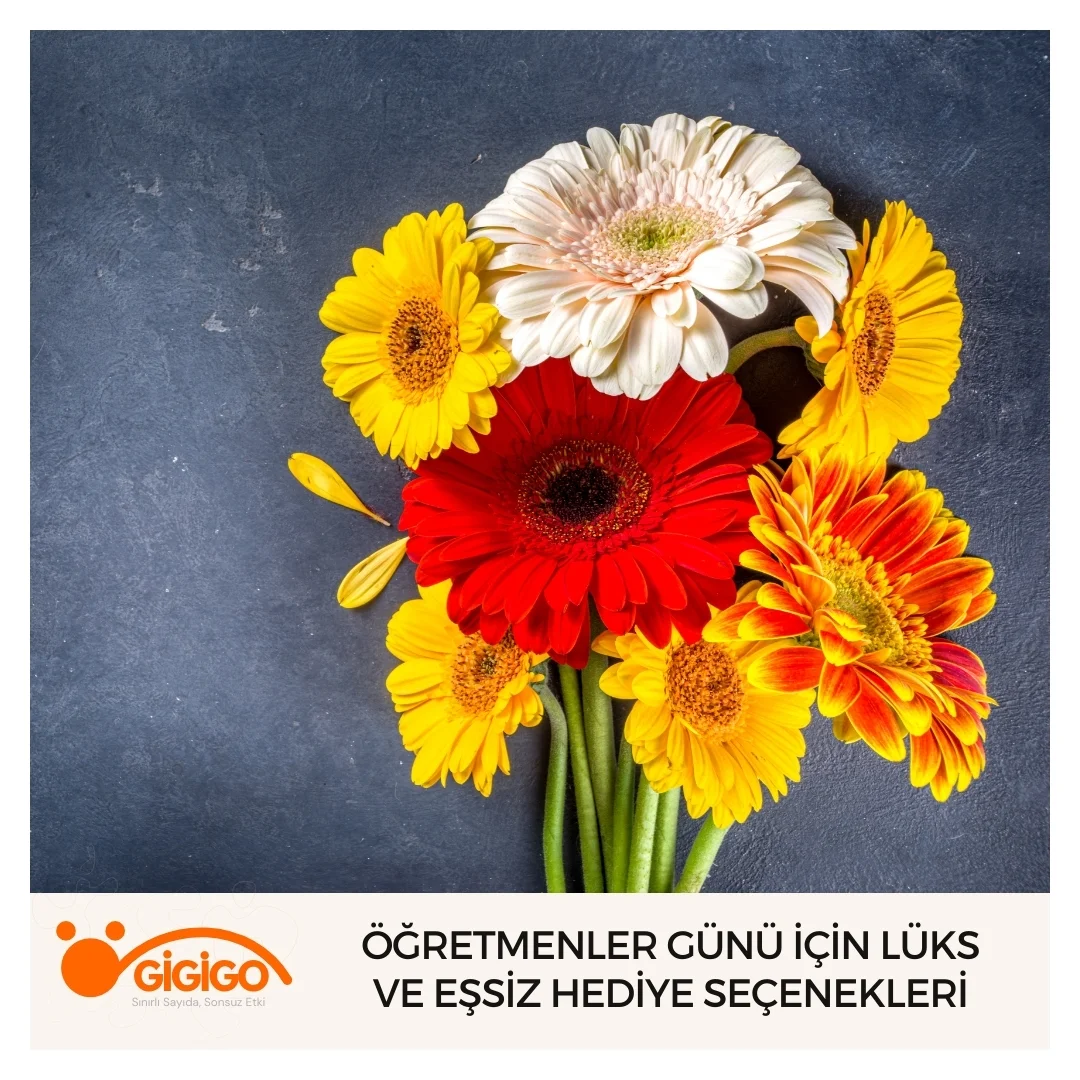Öğretmenler Günü İçin Lüks Ve Eşsiz Hediye Seçenekleri