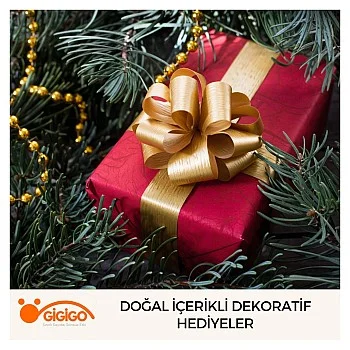 Yeni Yıl Hediyesi Doğal İçerikli Dekoratif Hediyeler