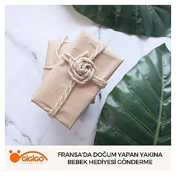 Fransa’da Doğum Yapan Yakına Bebek Hediyesi Gönderme