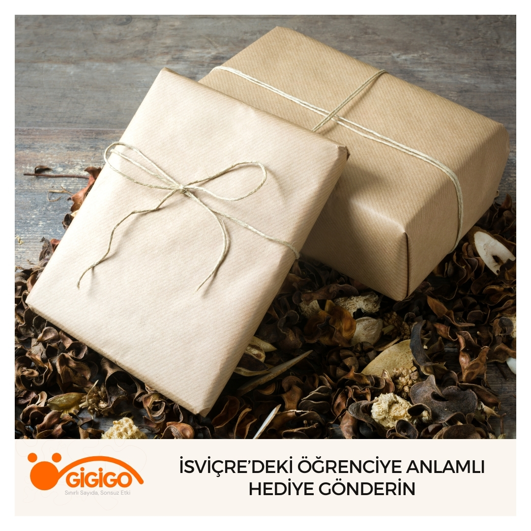 İsviçre’deki Öğrenciye Anlamlı Hediye Gönderin