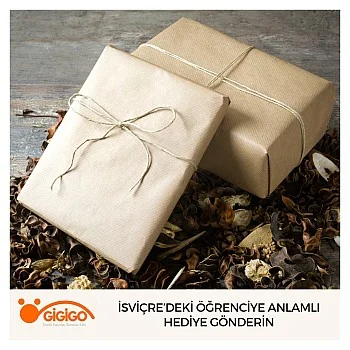 İsviçre’deki Öğrenciye Anlamlı Hediye Gönderin