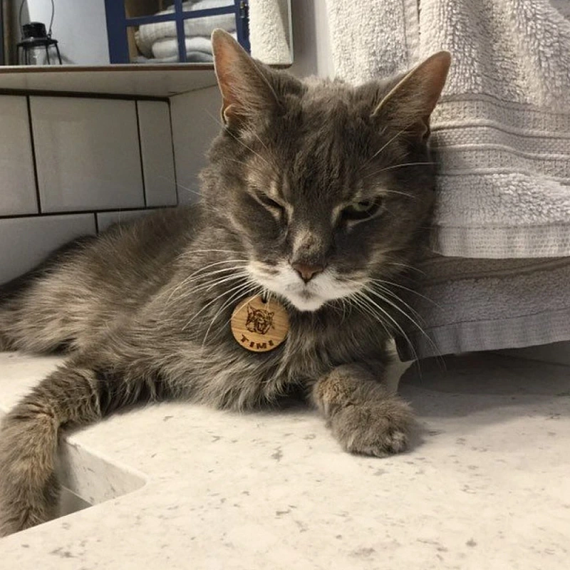 Kişiye Özel - Ahşap Ağaç Dalı Kedi Kimlik Madalyonu