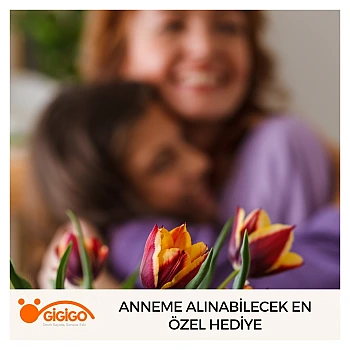 Anneme Alınabilecek En Özel Hediye
