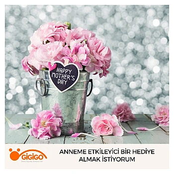 Anneme Etkileyici Bir Hediye Almak İstiyorum