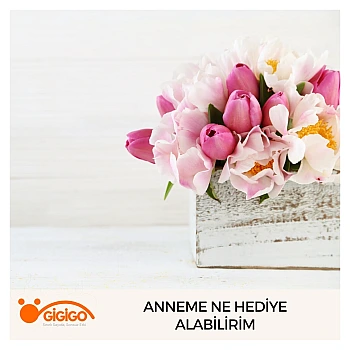 Anneme Ne Hediye Alabilirim