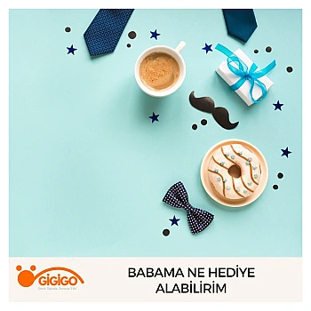 Babama Ne Hediye Alabilirim
