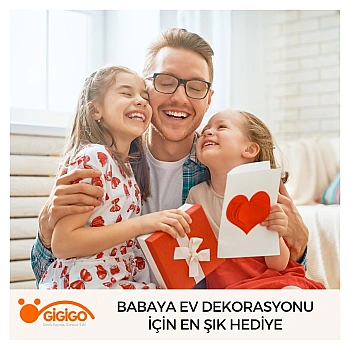 Babaya Ev Dekorasyonu İçin En Şık Hediye