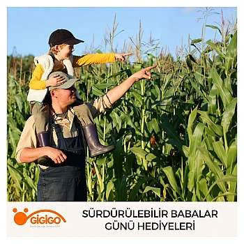 Sürdürülebilir Babalar Günü Hediyeleri