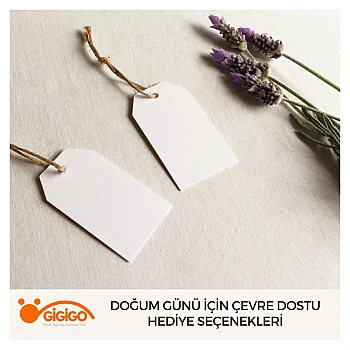 Doğum Günü İçin Çevre Dostu Hediye Seçenekleri