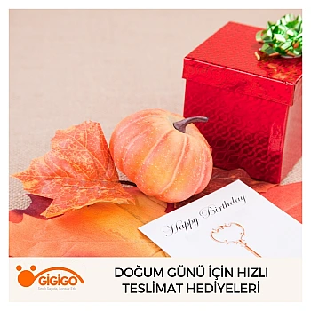 Doğum Günü İçin Hızlı Teslimat Hediyeleri
