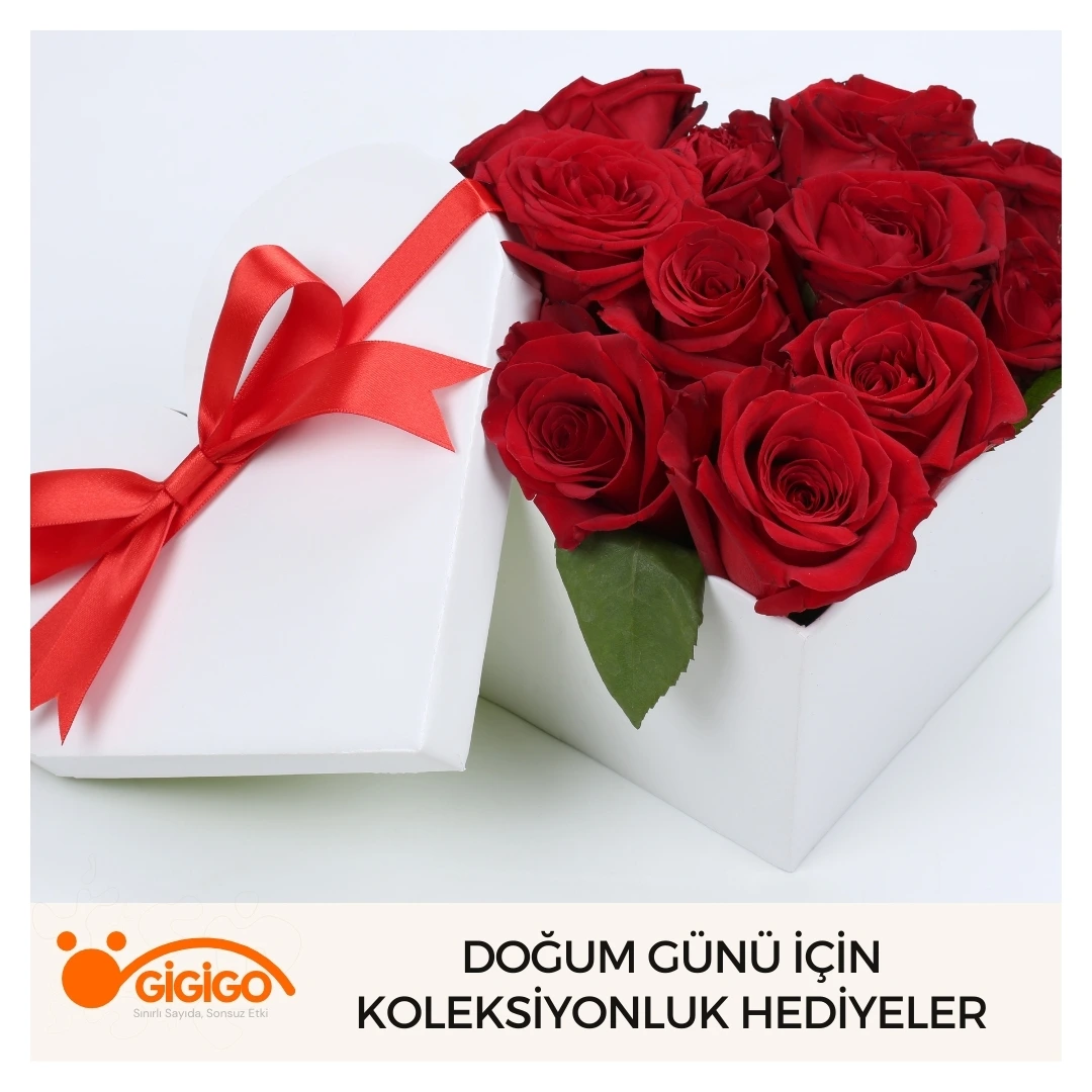 Doğum Günü İçin Koleksiyonluk Hediyeler