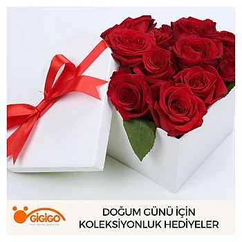 Doğum Günü İçin Koleksiyonluk Hediyeler