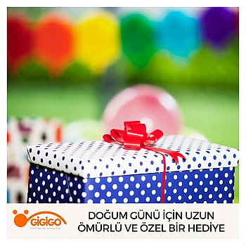 Doğum Günü İçin Uzun Ömürlü Ve Özel Bir Hediye