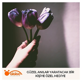 Güzel Anılar Yaratacak Bir Kişiye Özel Hediye