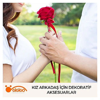 Kız Arkadaş İçin Dekoratif Aksesuarlar