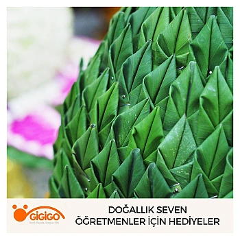 Doğallık Seven Öğretmenler İçin Hediyeler