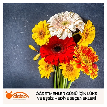 Öğretmenler Günü İçin Lüks Ve Eşsiz Hediye Seçenekleri
