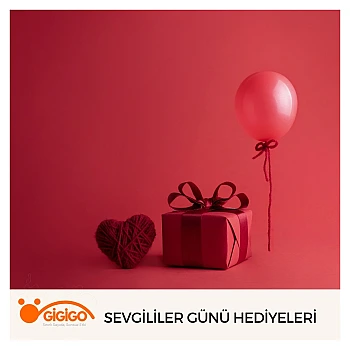Sevgililer Günü Hediyeleri