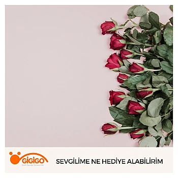 Sevgilime Ne Hediye Alabilirim