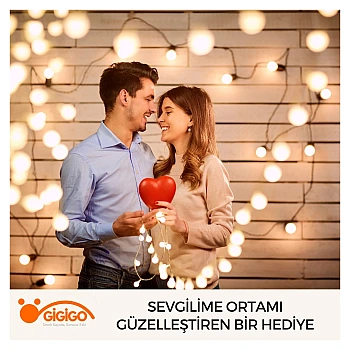 Sevgilime Ortamı Güzelleştiren Bir Hediye