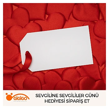 Sevgilime Sevgililer Günü Hediyesi Sipariş Et