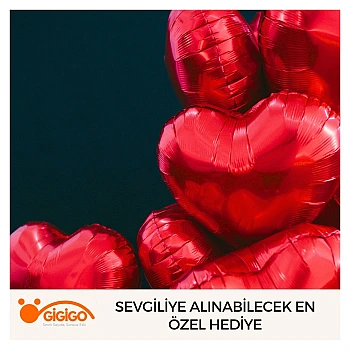 Sevgiliye Alınabilecek En Özel Hediye