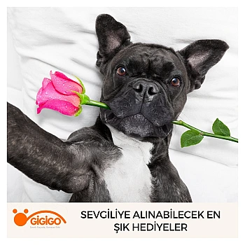 Sevgiliye Alınabilecek En Şık Hediyeler