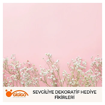 Sevgiliye Dekoratif Hediye Fikirleri