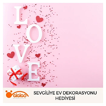 Sevgiliye Ev Dekorasyonu Hediyesi