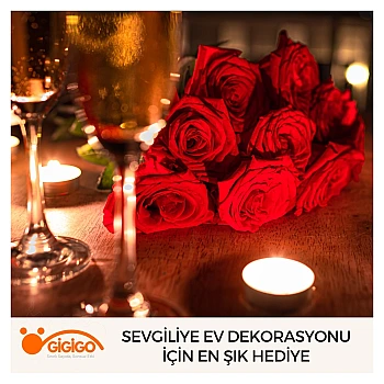 Sevgiliye Ev Dekorasyonu İçin En Şık Hediye