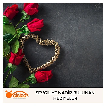 Sevgiliye Nadir Bulunan Hediyeler