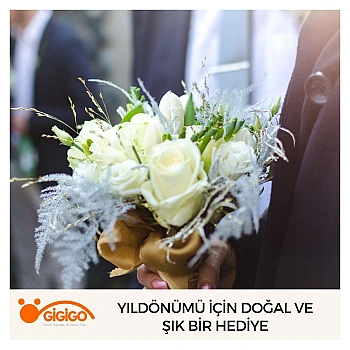Yıldönümü İçin Doğal Ve Şık Bir Hediye