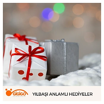 Yılbaşı Anlamlı Hediyeler