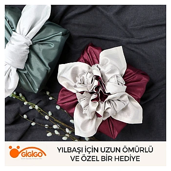 Yılbaşı İçin Uzun Ömürlü Ve Özel Bir Hediye