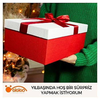 Yılbaşında Hoş Bir Sürpriz Yapmak İstiyorum