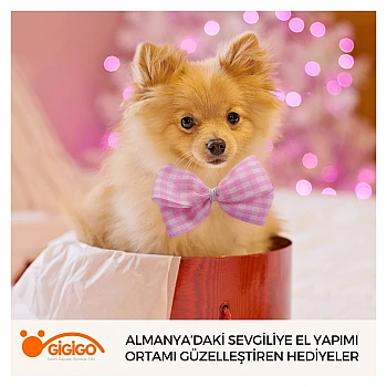 Almanya’daki Sevgiliye El Yapımı Ortamı Güzelleştiren Hediyeler