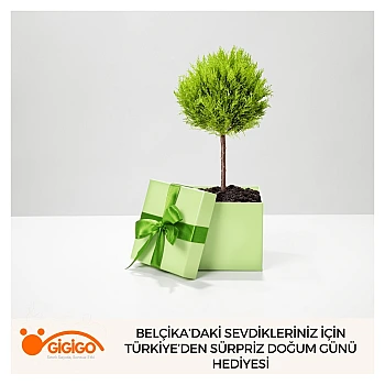 Belçika’daki Sevdikleriniz İçin Türkiye’den Sürpriz Doğum Günü Hediyesi