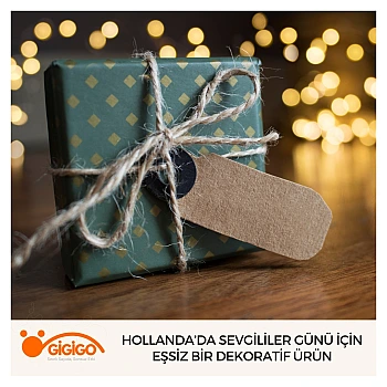 Hollanda’da Sevgililer Günü İçin Eşsiz Bir Dekoratif Ürün